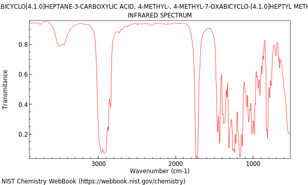 IR spectrum