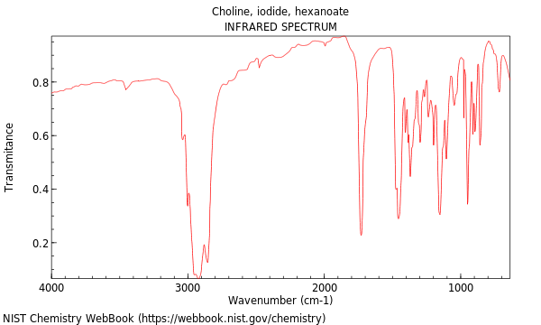 IR spectrum