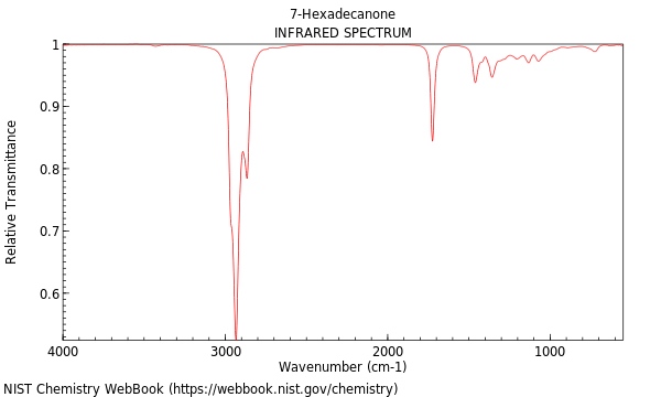 IR spectrum