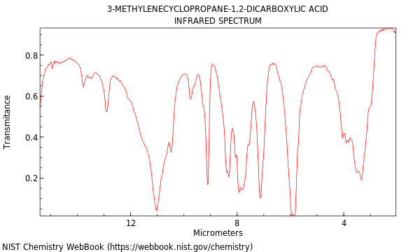 IR spectrum