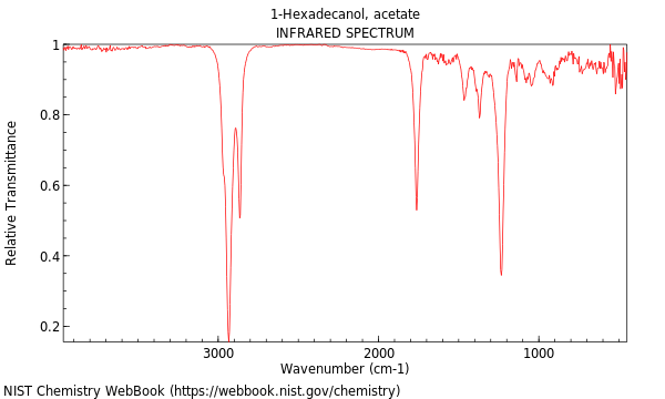 IR spectrum