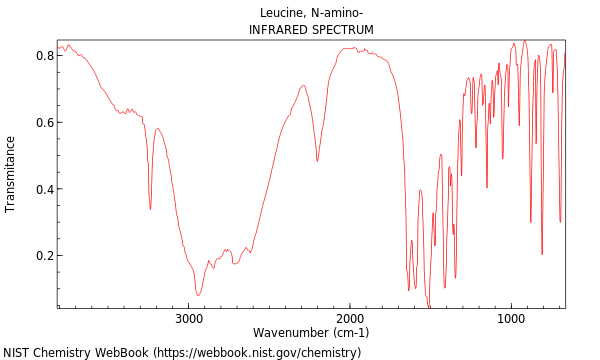 IR spectrum