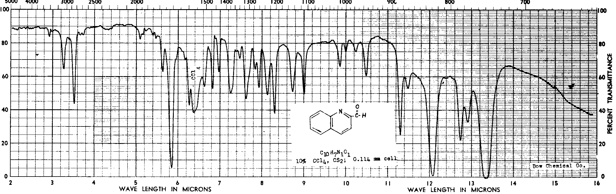 Izorline Solid Spectra Line — Charkbait