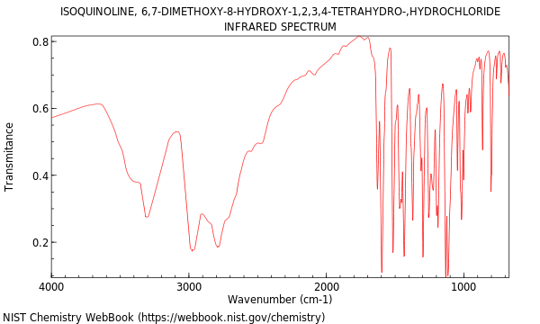 IR spectrum