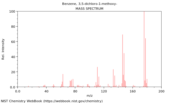 Mass spectrum