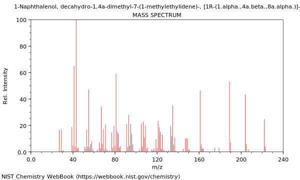 Mass spectrum