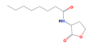 C12H21NO3