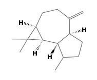 PDF) Chemical composition of sage (Salvia officinalis L.) essential oil  from the Rio de Janeiro State (Brazil)