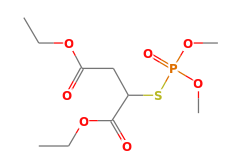 C10H19O7PS