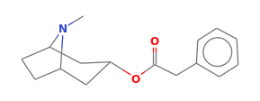 C16H21NO2