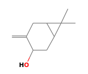 C10H16O