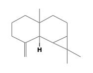 C15H24