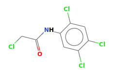 C8H5Cl4NO