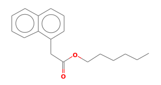 C18H22O2