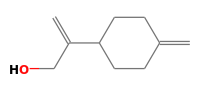 C10H16O