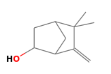 C10H16O