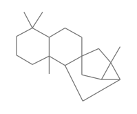 Trachylobane