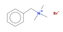 C10H16N.Br