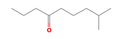 C10H20O