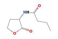 C8H13NO3