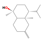 C16H28O