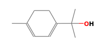 C10H16O