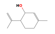 C10H16O