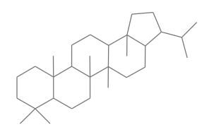 hopane