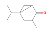 C10H16O