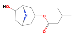 C13H23NO3