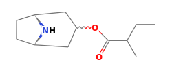 C12H21NO2