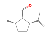 C10H16O