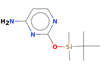 C10H19N3OSi